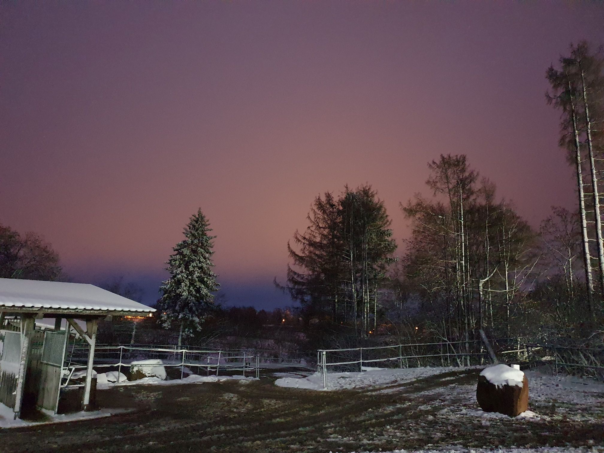 2023 11 November 614